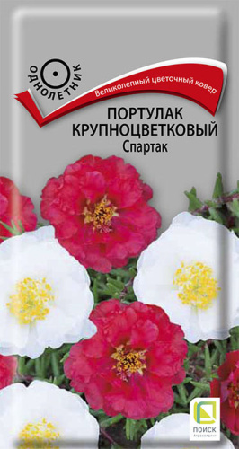 Портулак Спартак крупноцветковая 
