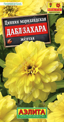 Цинния Дабл Захара желтая