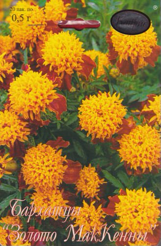 Бархатцы Золото МакКены/1шт