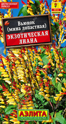 Вьюнок Экзотическая лиана 