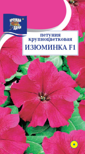 Петуния Изюминка F1 