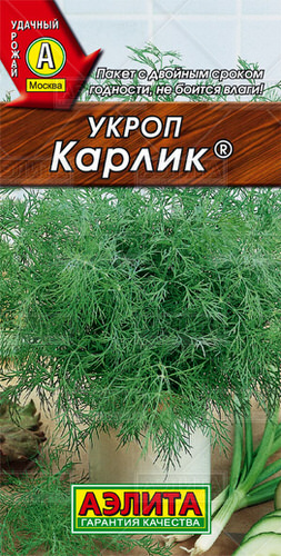 Укроп Карлик 