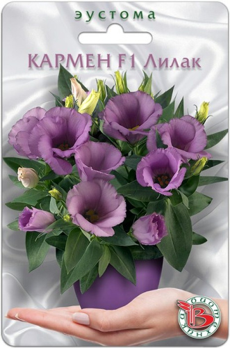 Эустома (лизиантус) горшечная Кармен F1 Лилак
