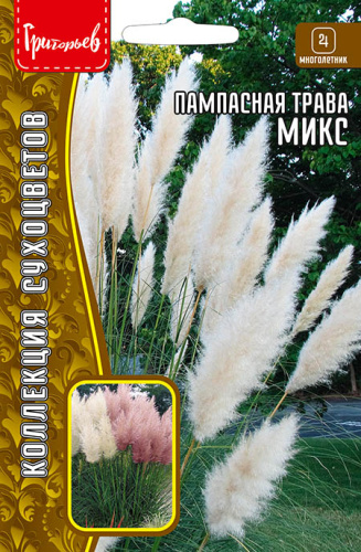 Пампасная трава Микс (Кортадерия)