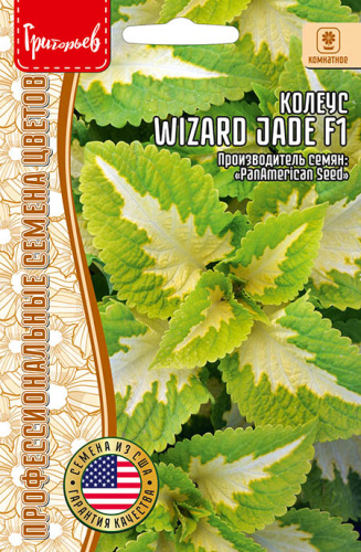 Колеус Визард Жаде (Jade) F1