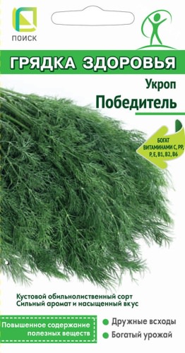 Укроп Победитель