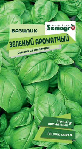 Базилик Зелёный ароматный