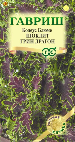 Колеус Шоклит грин Драгон Элитная клумба
