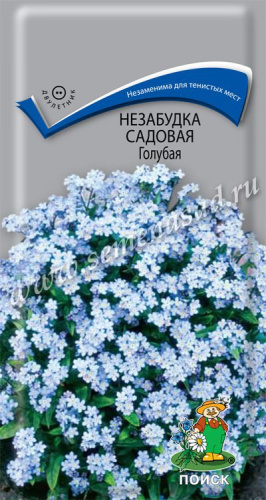 Незабудка садовая Голубая