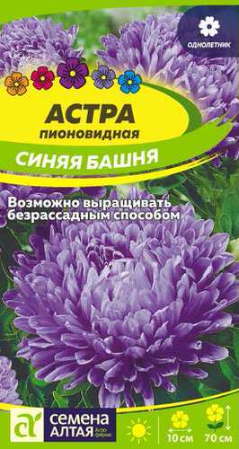 Астра Синяя Башня