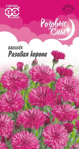 Василек Розовая Корона Розовые Сны