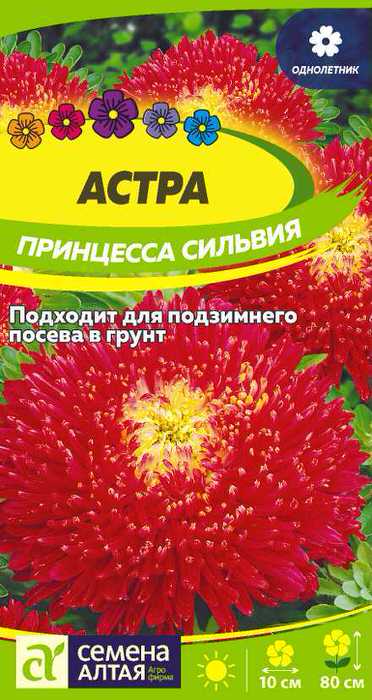 Астра Принцесса Сильвия