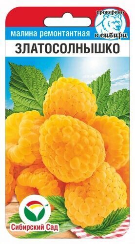Малина Златосолнышко 
