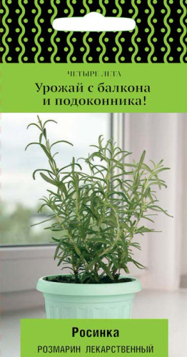 Розмарин Росинка лекарственный