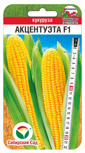 Кукуруза Акцентуэта F1 5шт 