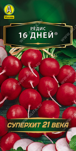 Редис 16 дней