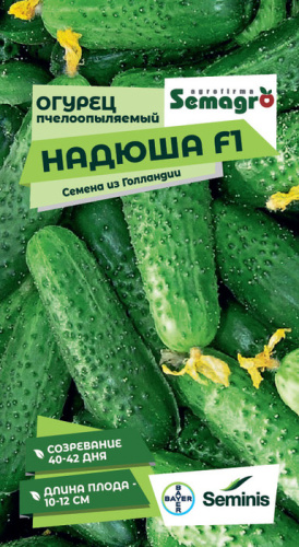 Огурец Надюша F1 