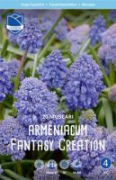 Мускари armeniacum "Fantasy Creation" (1х20шт) купить