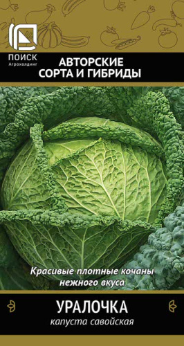 Капуста (савойская) Уралочка