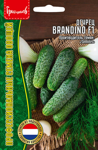 Огурец Брандино (Brandino) F1 Seminis