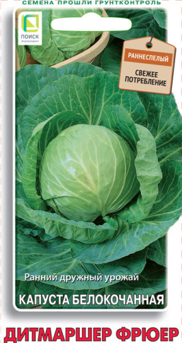 Капуста Дитмаршер Фрюер