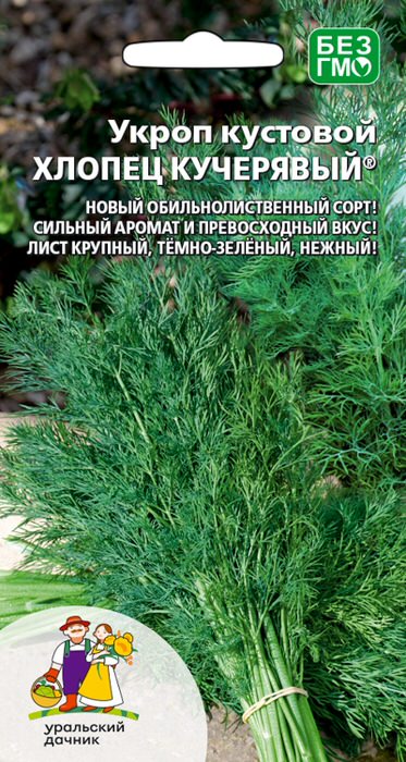 Укроп Хлопец кучерявый - кустовой