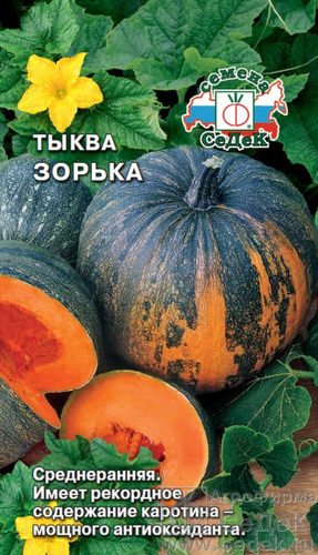 Тыква Зорька 