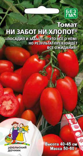 Томат Ни забот , ни хлопот 
