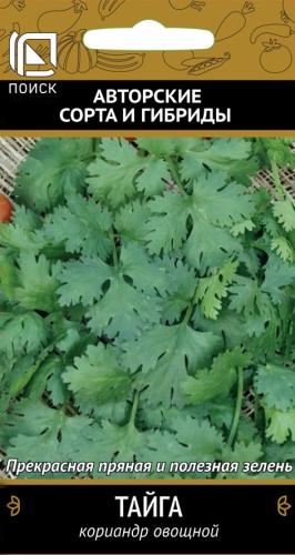 Кориандр Тайга