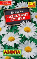 Нивяник Солнечные лучики  купить