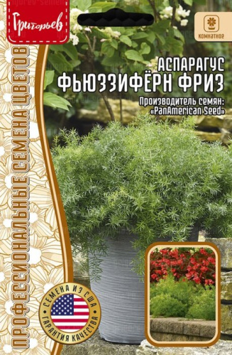 Аспарагус Фьюззифёрн Фриз