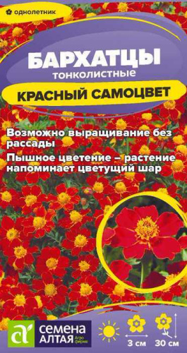 Цветы Бархатцы Красный Самоцвет тонколистн