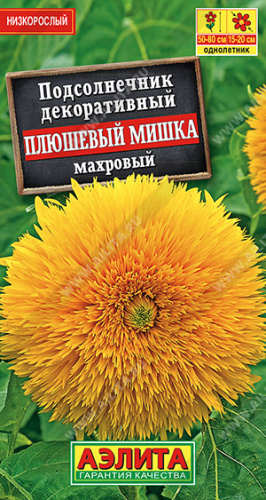 Подсолнечник Плюшевый Мишка