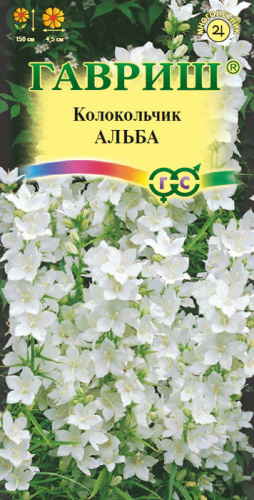 Колокольчик Альба (пирамидальный)