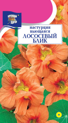 Настурция вьющаяся Лососевый блик 