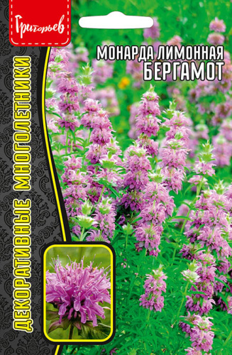 Монарда лимонная Бергамот