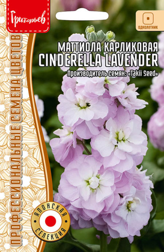 Маттиола Cinderella Lavender карликовая