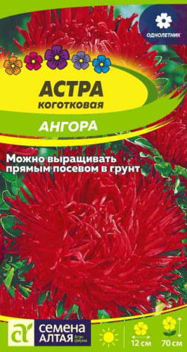 Астра Ангора коготковая 