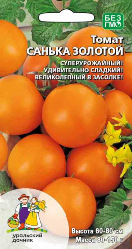 Томат Санька золотой 