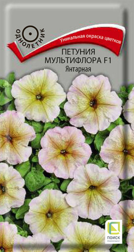 Петуния Янтарная F1 мультифлора
