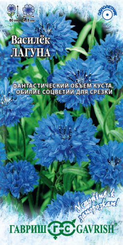 Василек Лагуна синий 