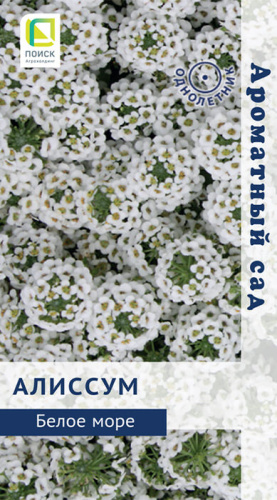 Алиссум Белое море