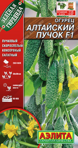Огурец Алтайский пучок