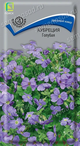 Аубреция Голубая