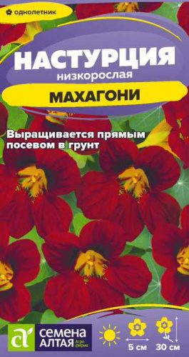 Настурция Махагони низкорослая 