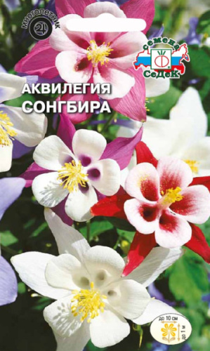 Аквилегия Сонгбира (смесь) 