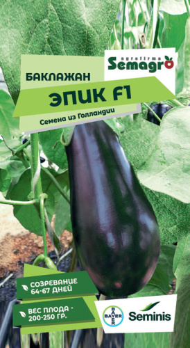 Баклажан Эпик F1 