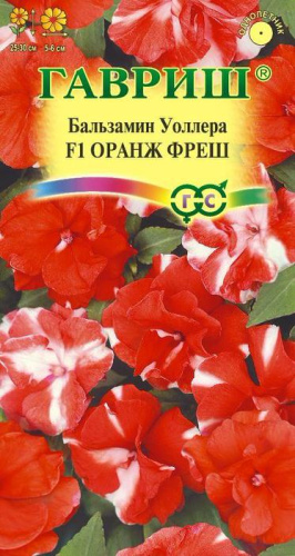 Бальзамин Уоллера F1 Оранж фреш махр