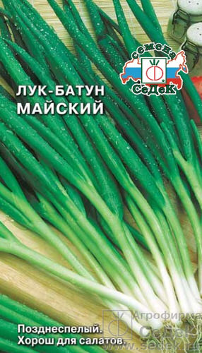 Лук Майский, батун