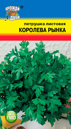 Петрушка Королева Рынка листовая